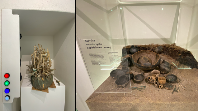 Muzeum Ceramiki w Bolesławcu — wystawa stała — zdjęcie 3